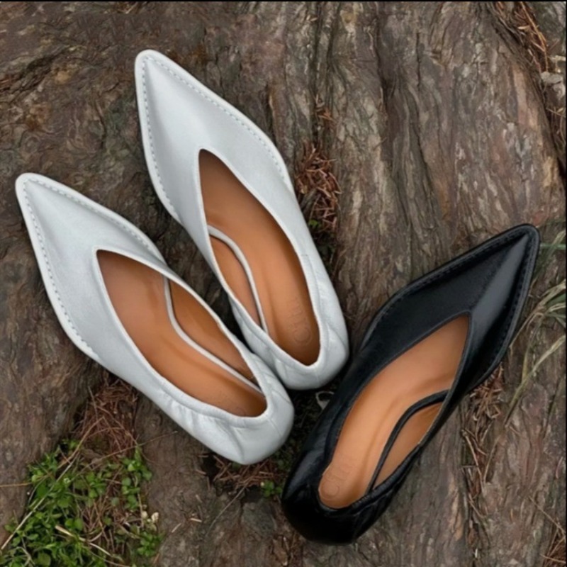 2025 New Pointed Toe Single Sh - Women'S Fashion For 2025 reseña y precio