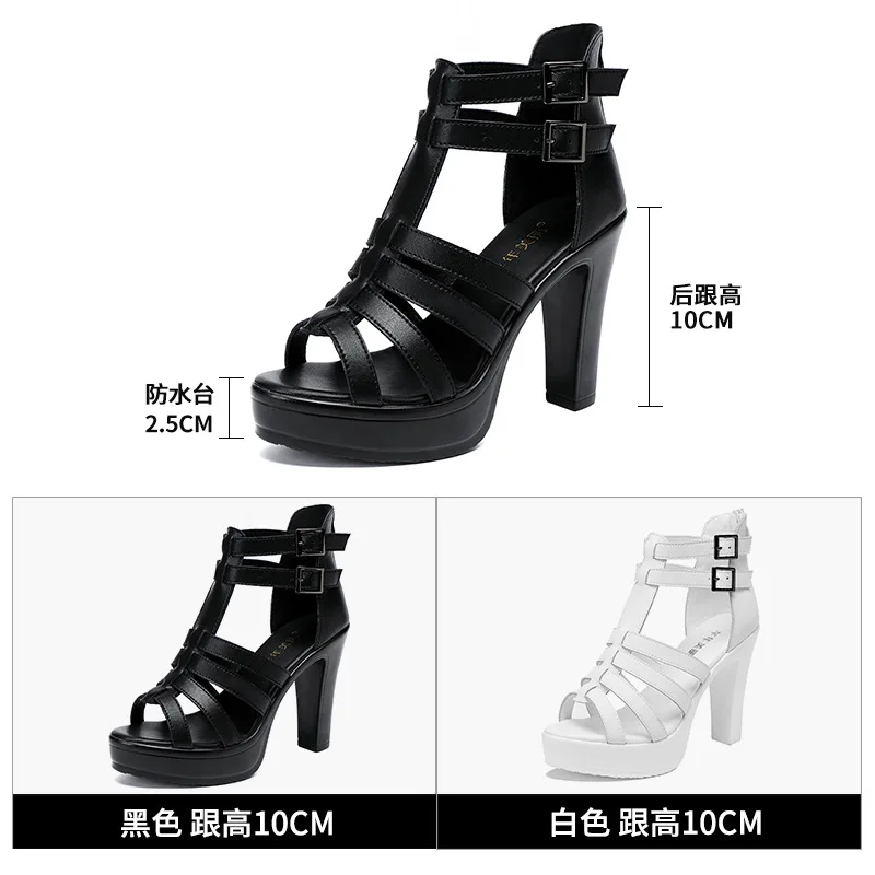 Gladiator Ladies Shoe for Wome - Women'S Fashion Q reseña y precio